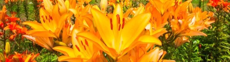 ∆∆Haruki Bushida∆∆ tweet media