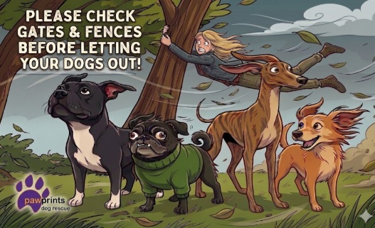 PDRescue's tweet image. #dogtwitter #dogsofX #dogsoftwitter 

Please check before letting your pals out this morning...