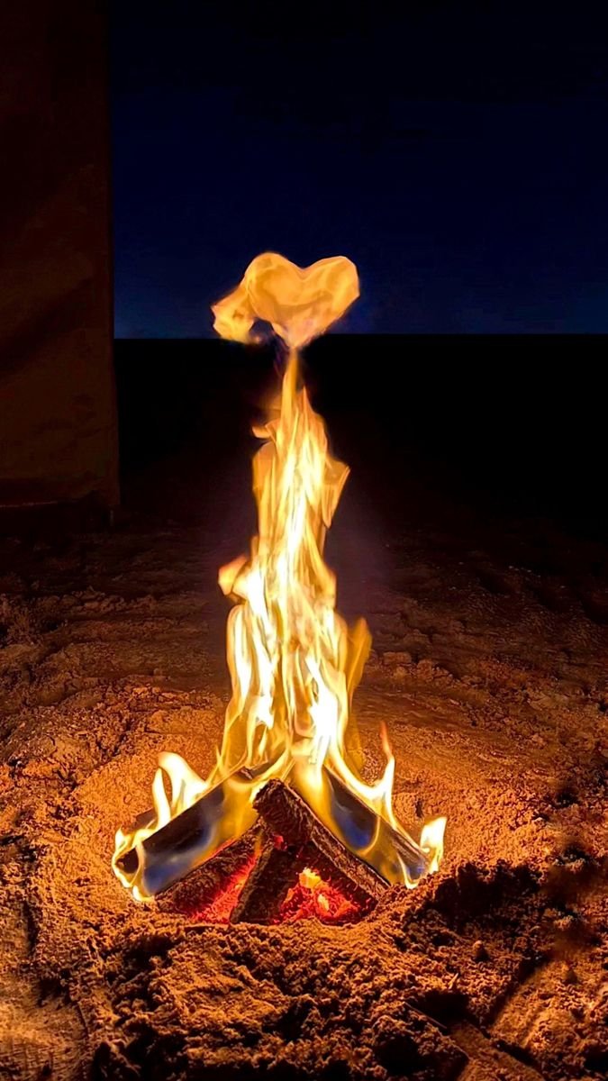 أخرامز المشاهير tweet media