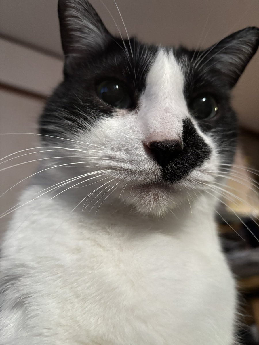 おはようございます。雨になりますね〜