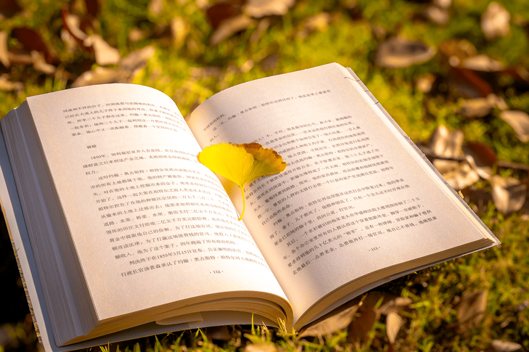 Jopher Ibasco tweet media