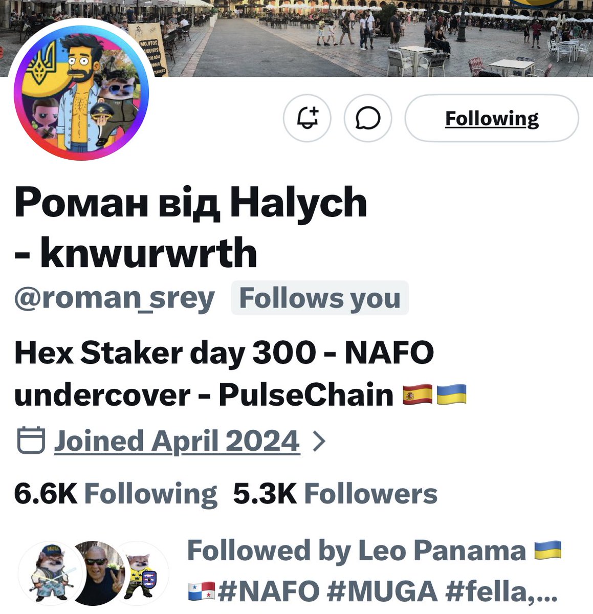 Turquoise Cat tweet media