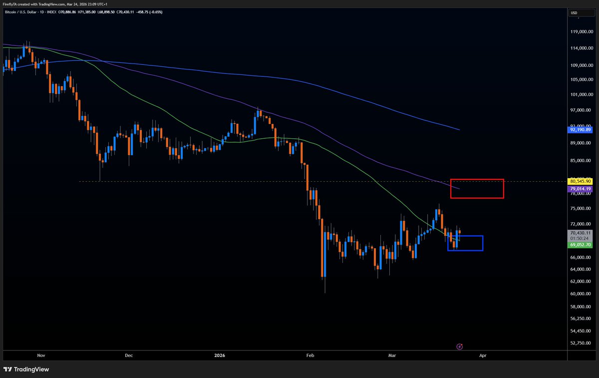 FireflyTA tweet media