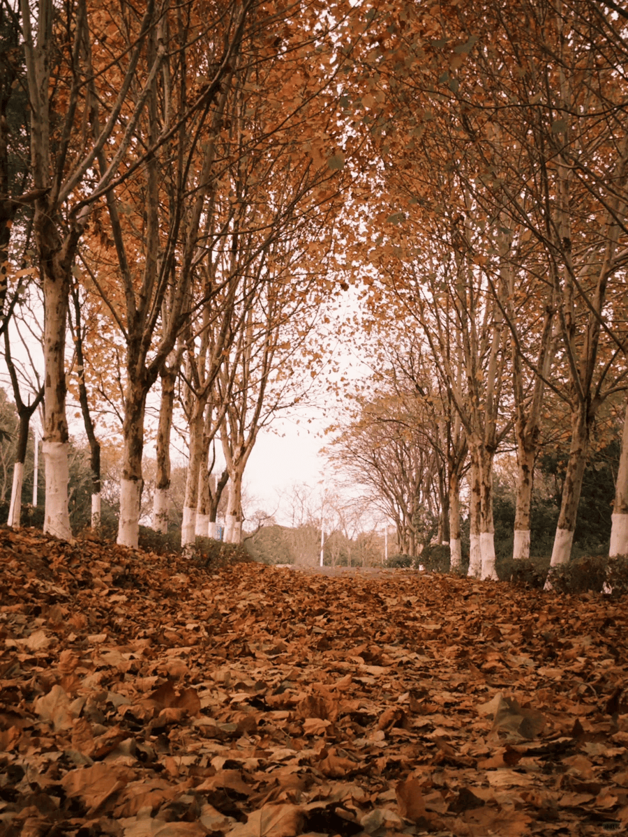 Smile At A Discount tweet media