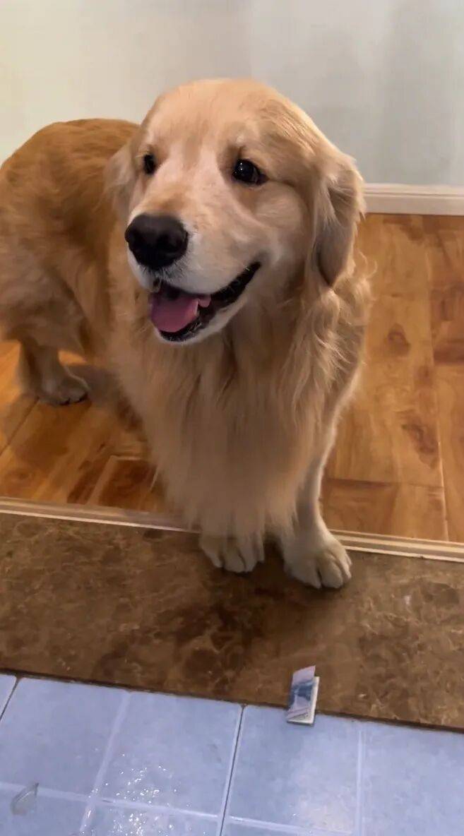 Candy Wallace tweet media