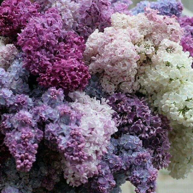 bulbulator tweet media