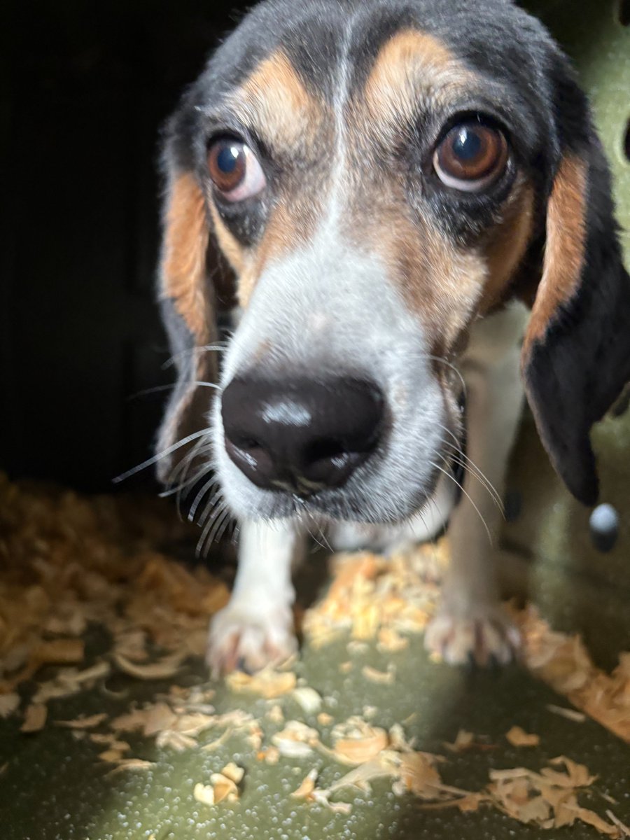 Kindness Ranch tweet media