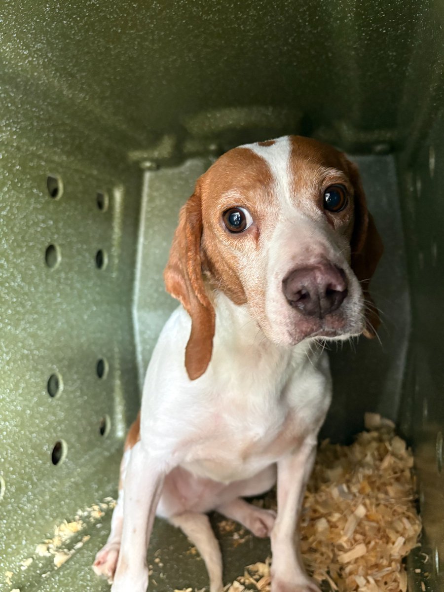 Kindness Ranch tweet media