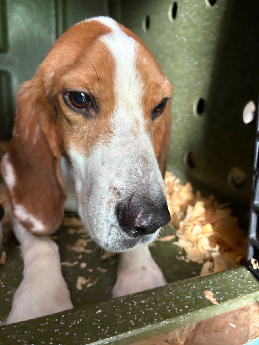 Kindness Ranch tweet media