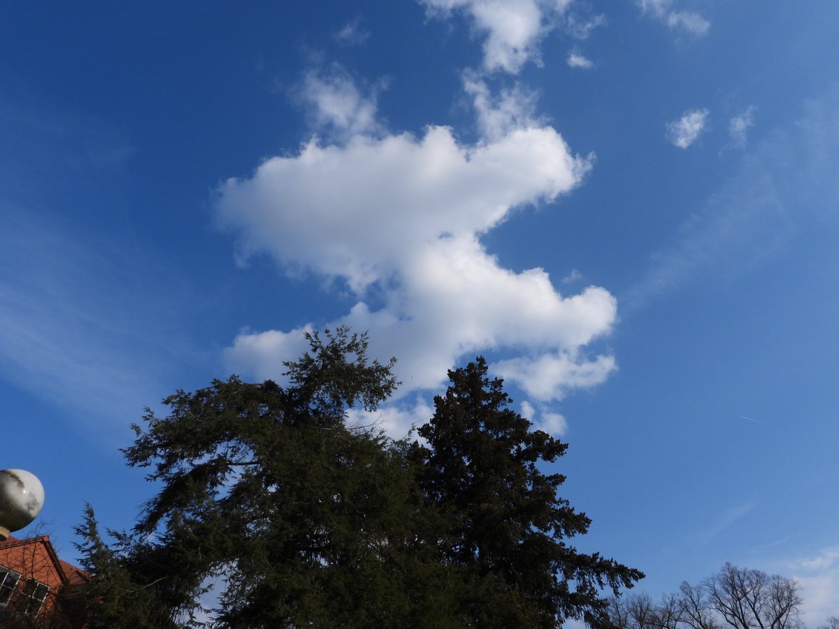 Anjuschka Prenzel tweet media