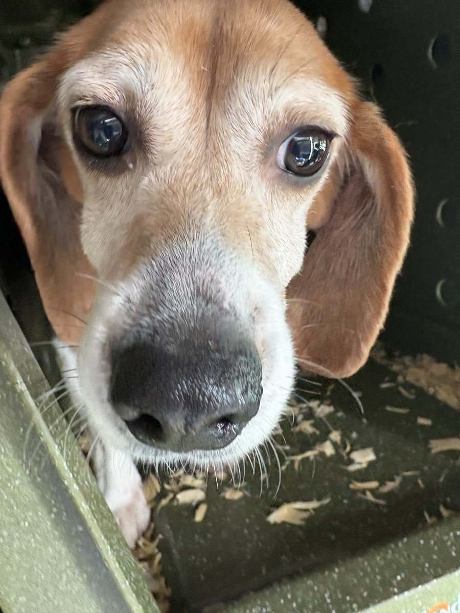 Kindness Ranch tweet media