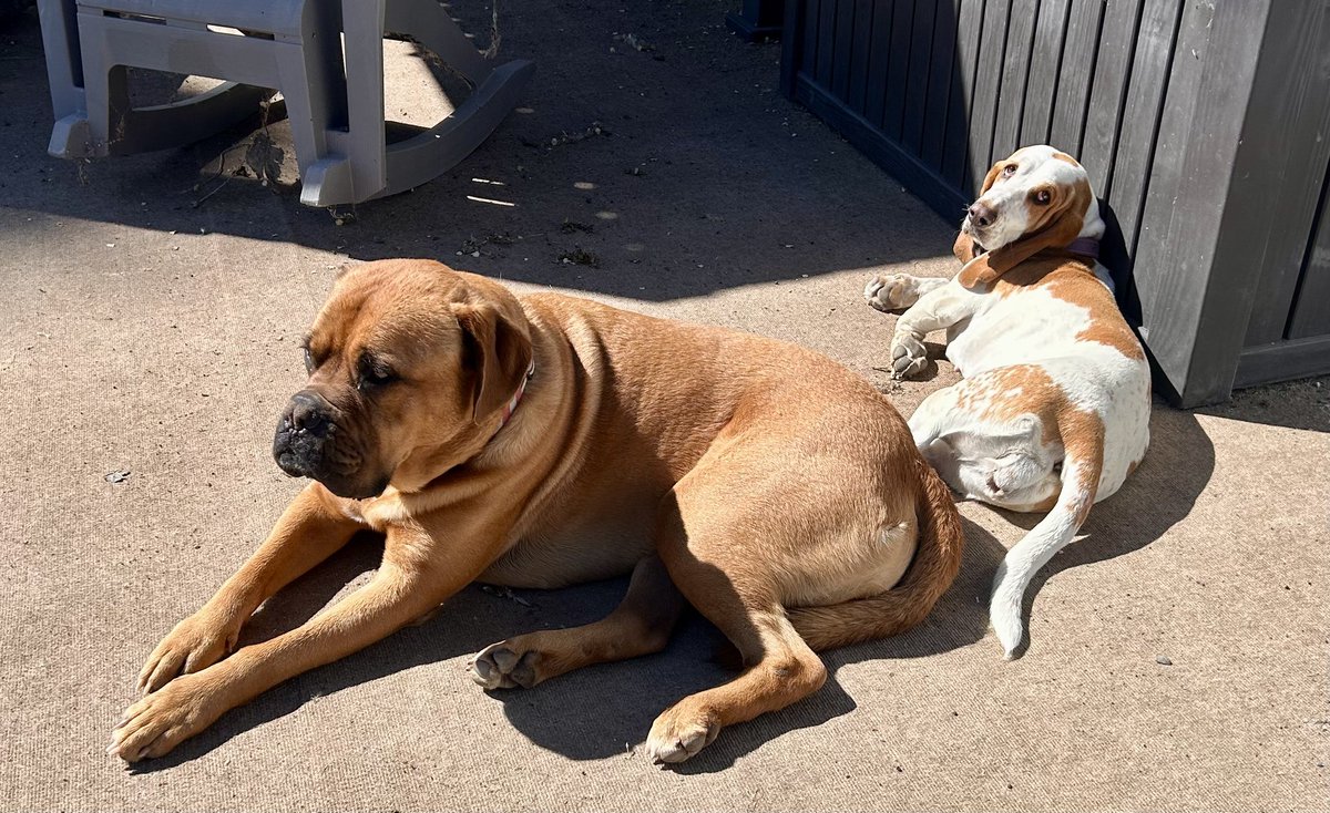 Sean☘️ (Americans 1st🇺🇸 MAGA) tweet media