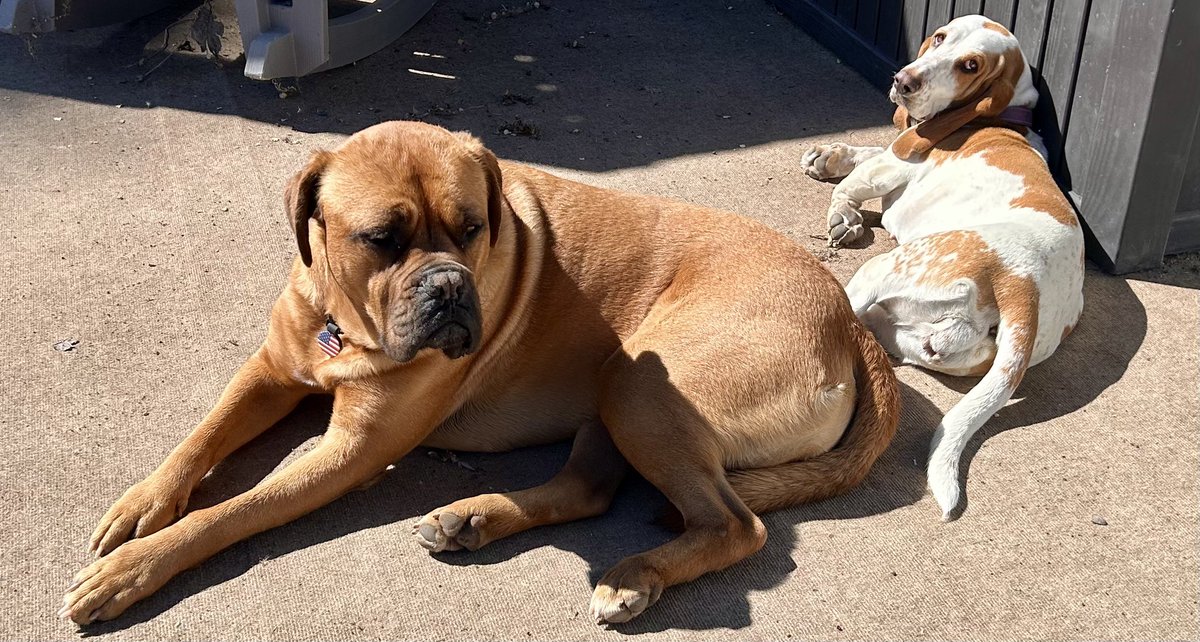 Sean☘️ (Americans 1st🇺🇸 MAGA) tweet media