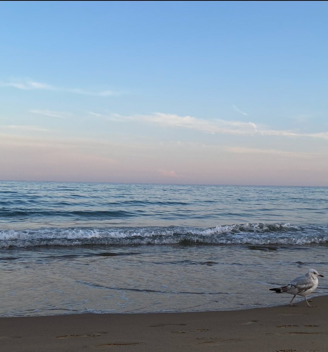 𝐍𝐨𝐜𝐭𝐮𝐫𝐧𝐞 tweet media