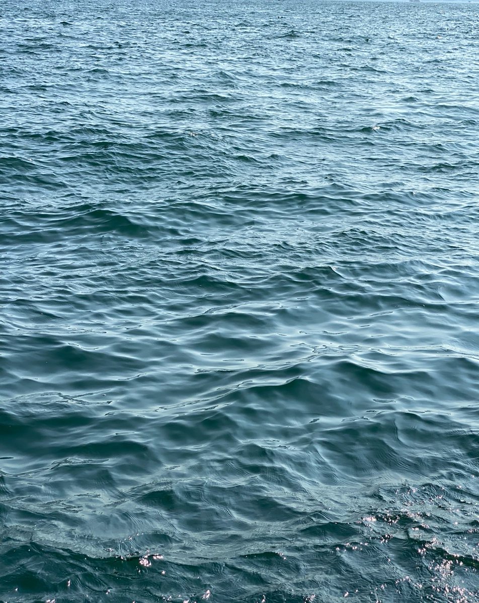 𝐍𝐨𝐜𝐭𝐮𝐫𝐧𝐞 tweet media