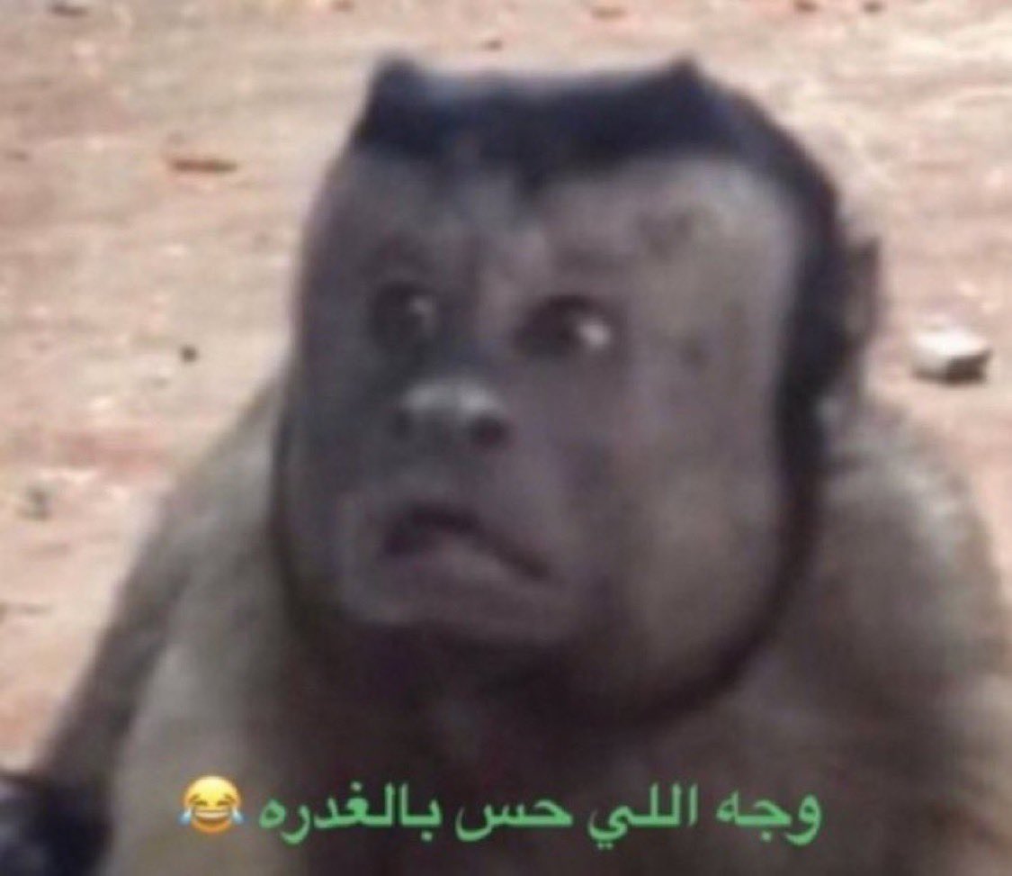 مؤمن tweet media