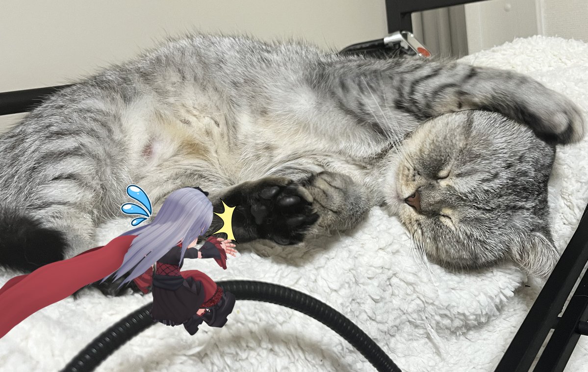 紅レオーネ🧣🕹＠ゲーセン、特撮、電流Vtuber tweet media