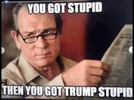 Devin Nunes Dead Cat-Once Removed tweet media