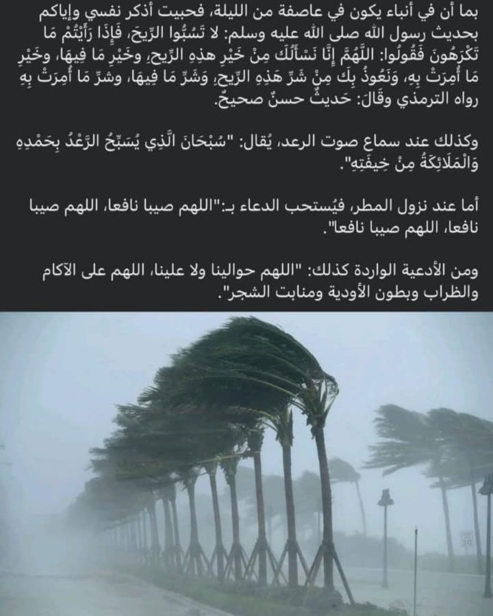 𝓡𝓮𝓷𝓭𝓸𝓶𝓪 tweet media