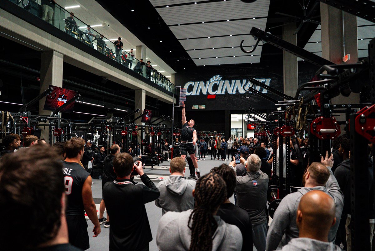 Niko Palazeti tweet media