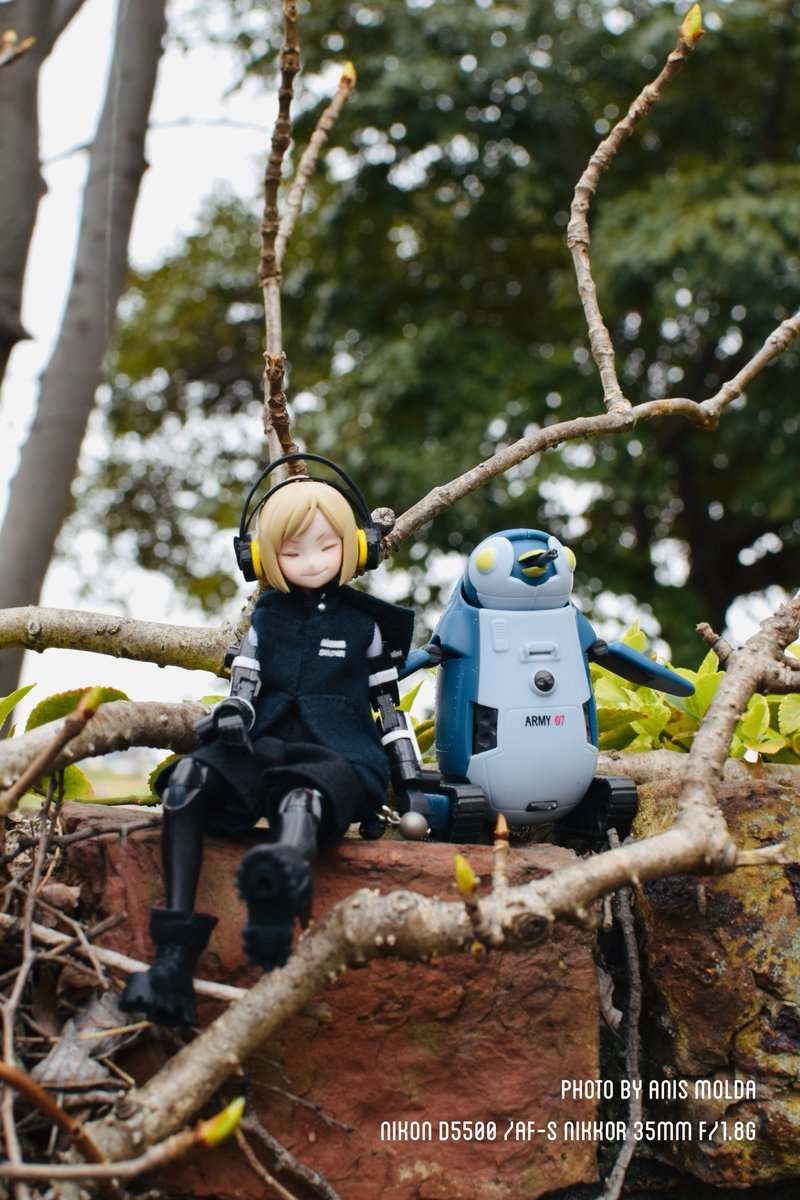 anis-molda tweet media