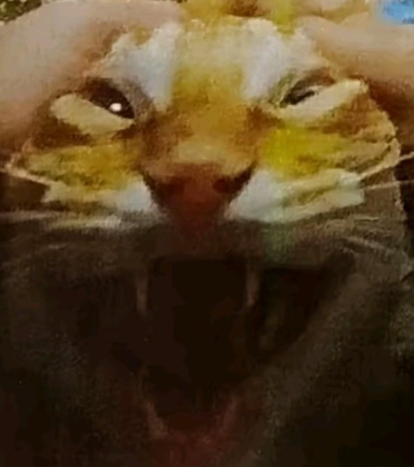 Deru_Gain tweet media