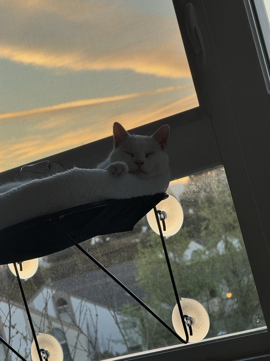 Mongee Sr. tweet media