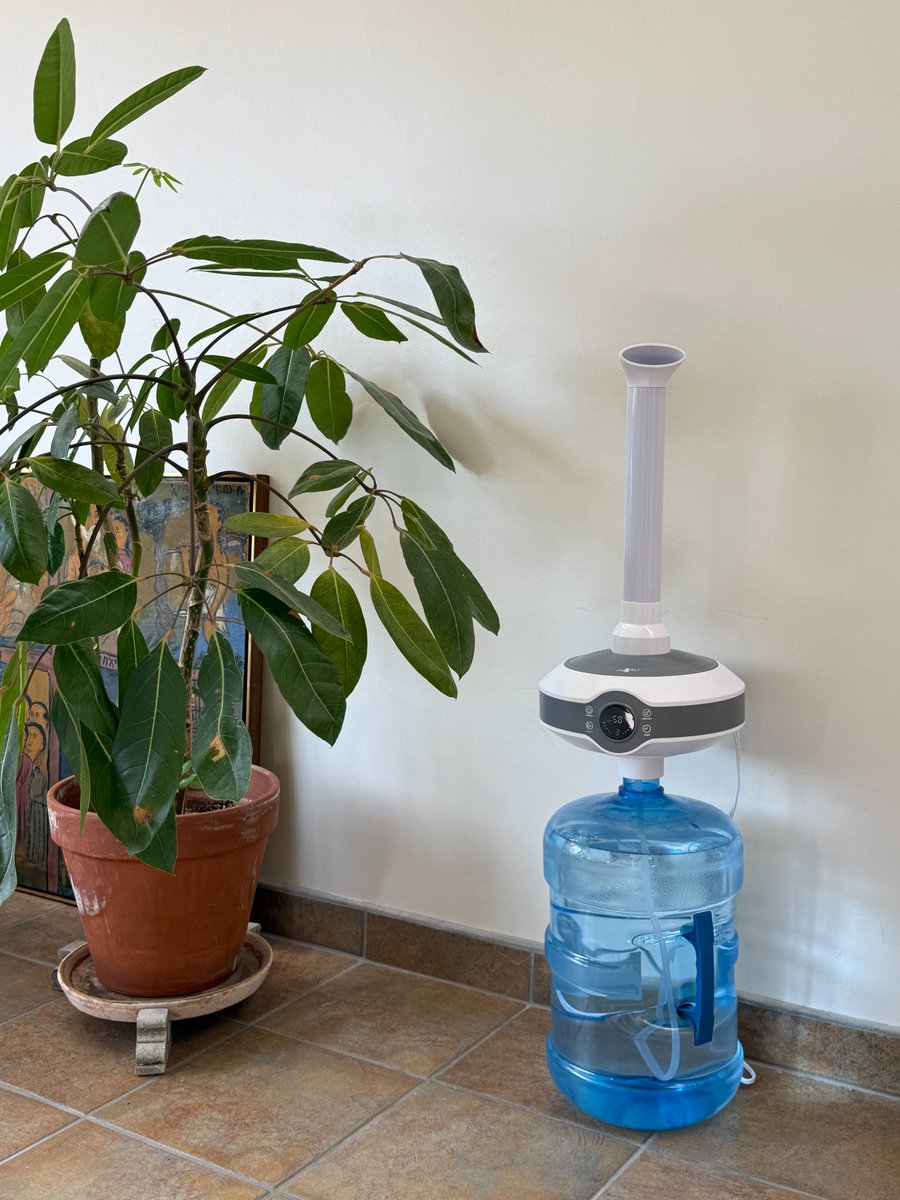 CHLOÉ HAPPE tweet media