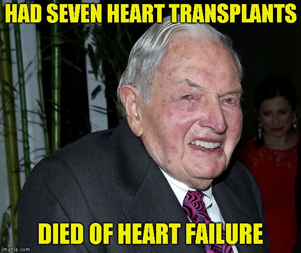 jolla rogerz tweet media