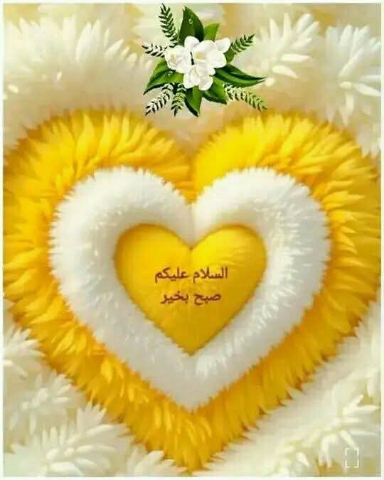 Malik Waqas Shafi 🇵🇰🇵🇸 tweet media