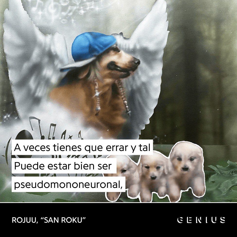 gordo incel otaku pajero tweet media