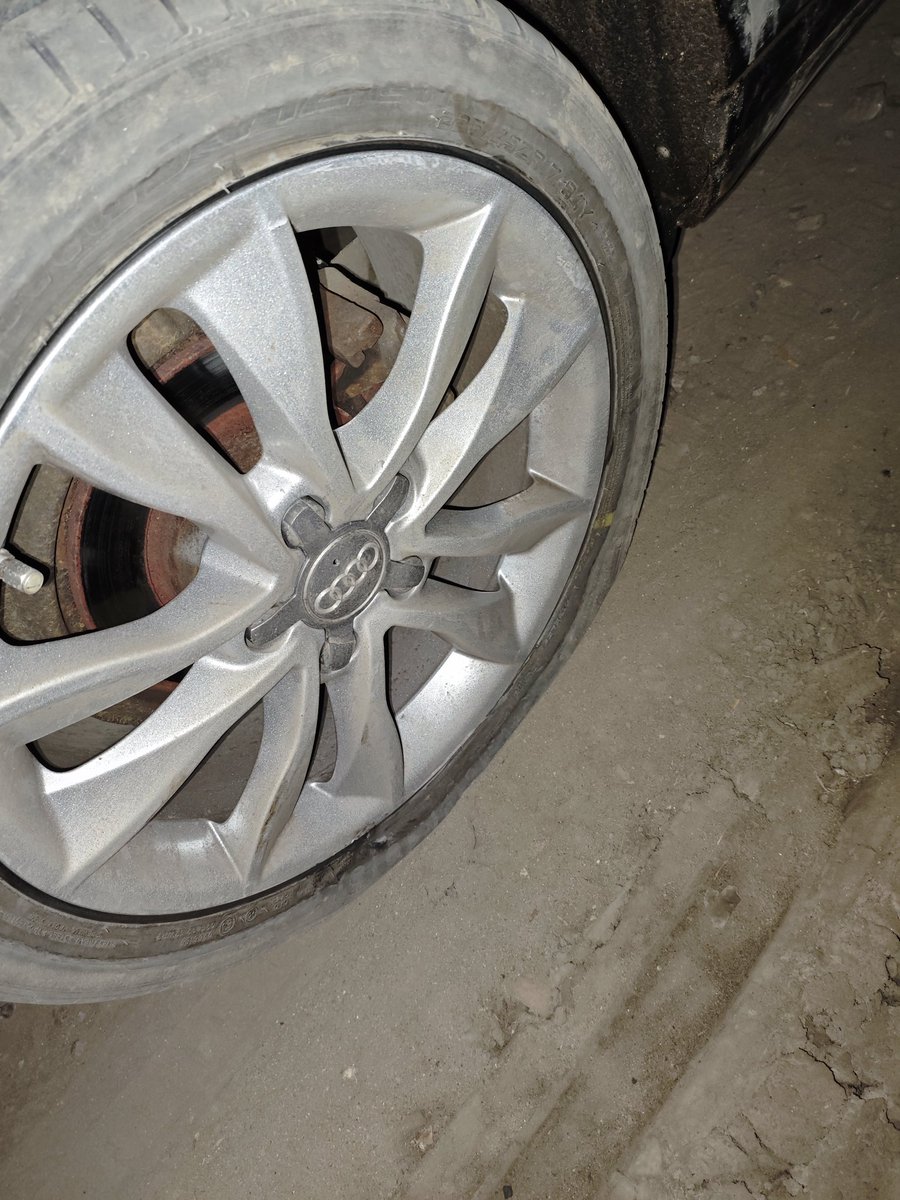 Vulpes ferrilata tweet media