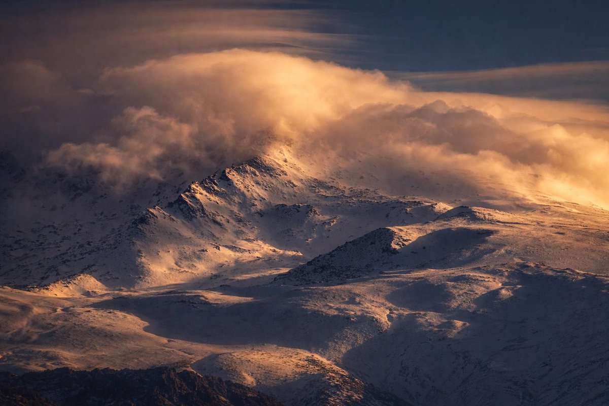 Jose Rambaud tweet media