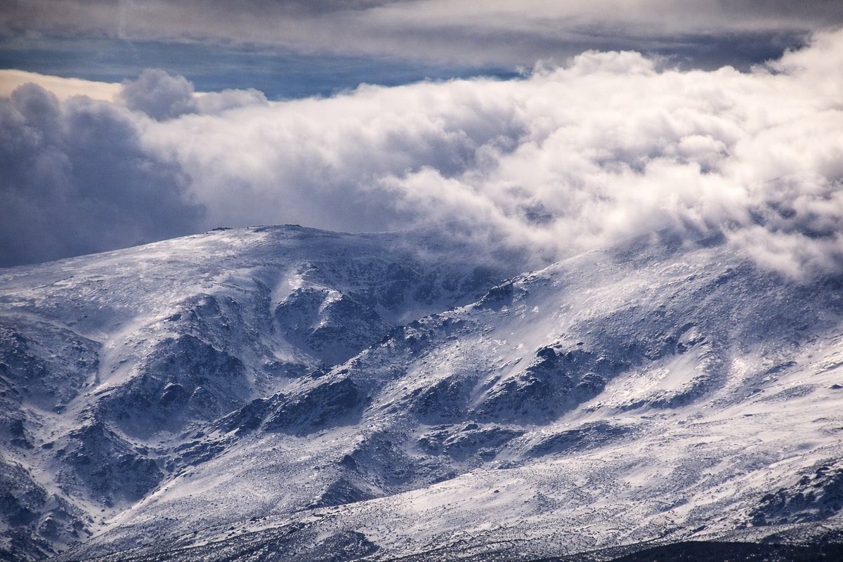 Jose Rambaud tweet media