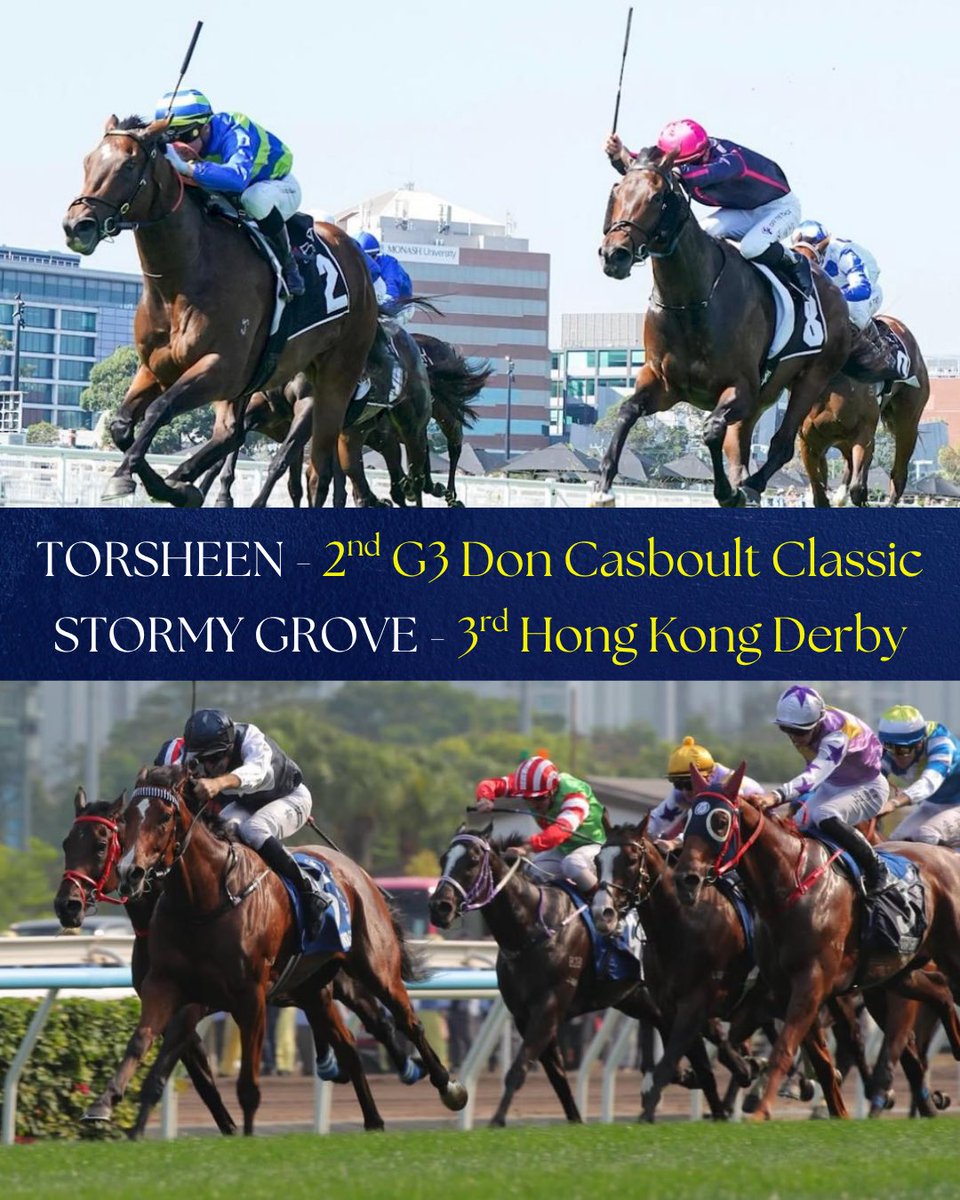 Swettenham Stud tweet media