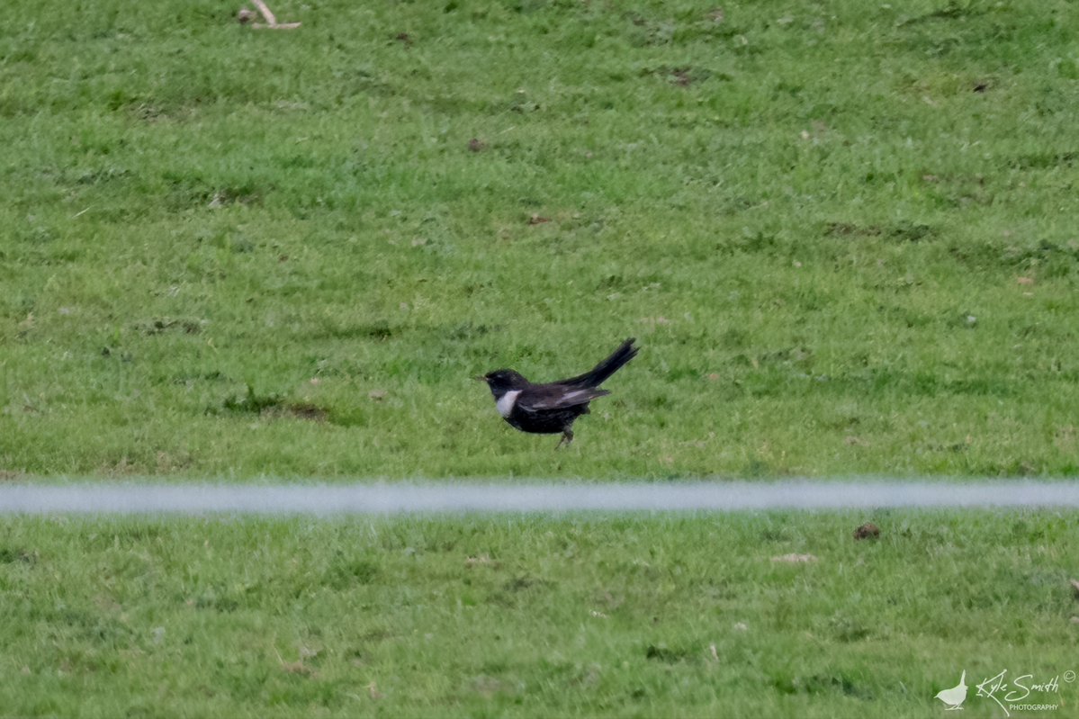 Kyle Smith 🏴󠁧󠁢󠁳󠁣󠁴󠁿 tweet media