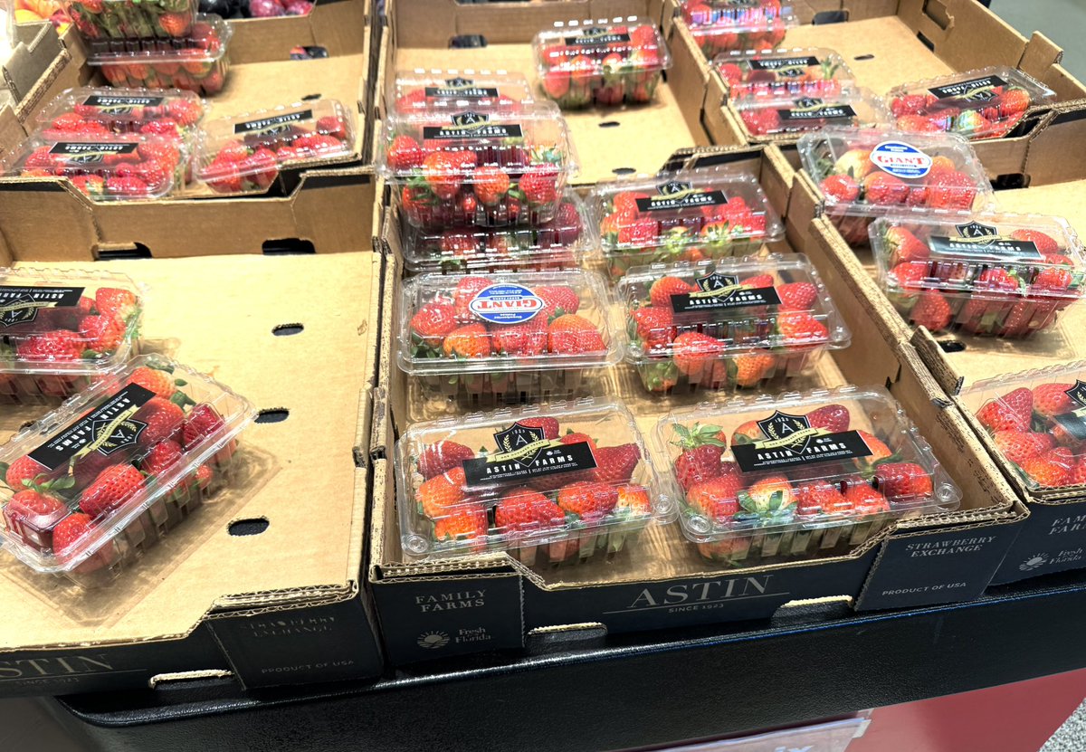 Maurais Live tweet media