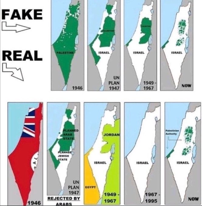 Daniel Brenner | דניאל | 🎗️🇮🇱 tweet media