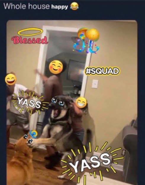 bela🦦★★ tweet media