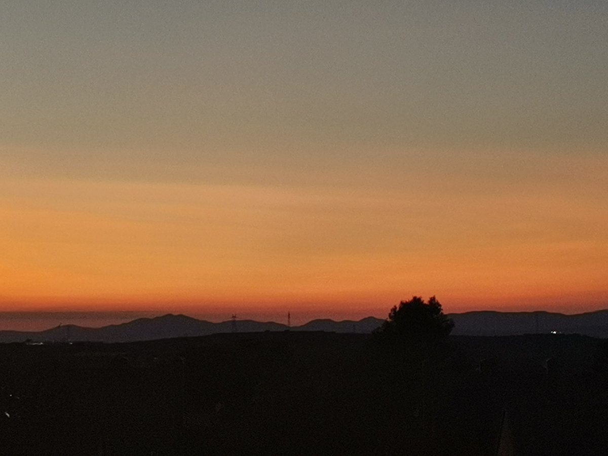 Bertrand_new tweet media