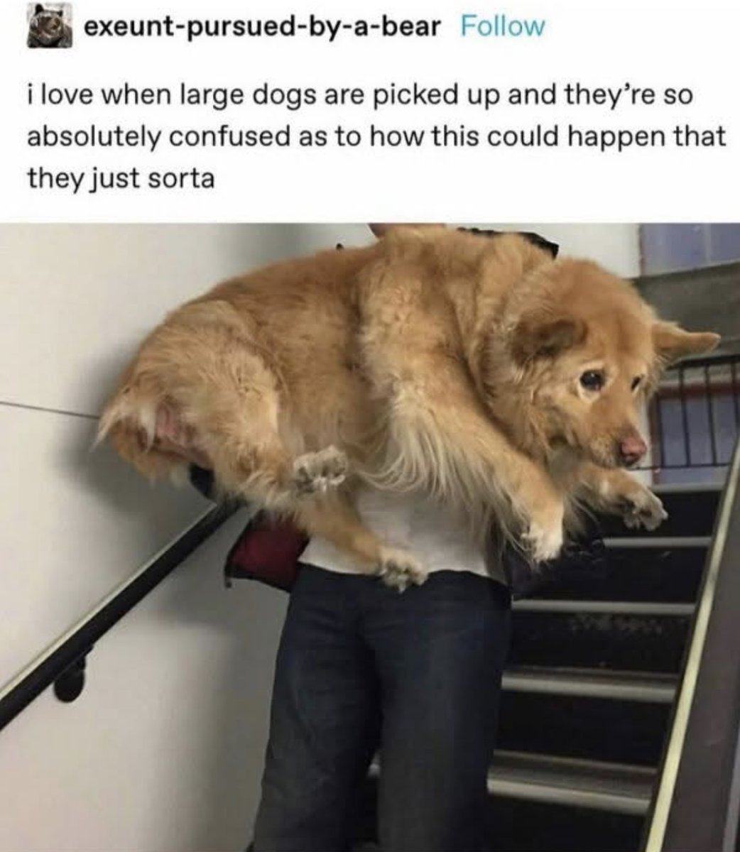 Respectful Memes tweet media