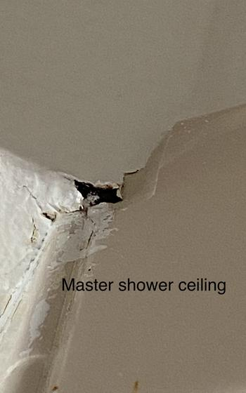 Stars and Stripes tweet media