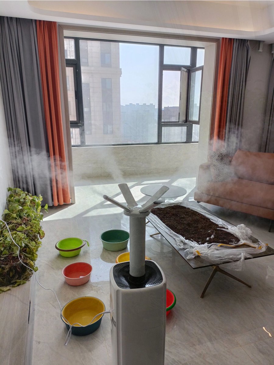 Lorna Ryan tweet media