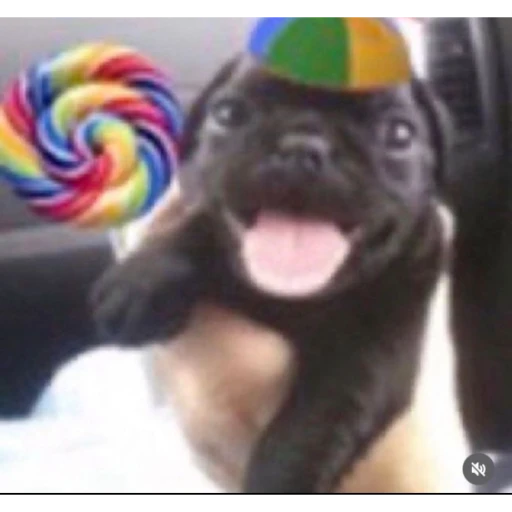 Frosto❤🤍 tweet media