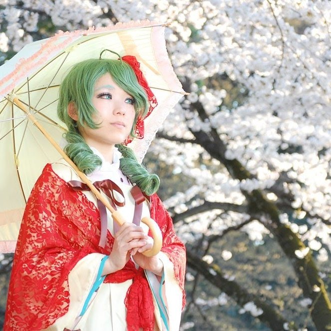 なるこ【薔薇乙女二次創作垢】 tweet media