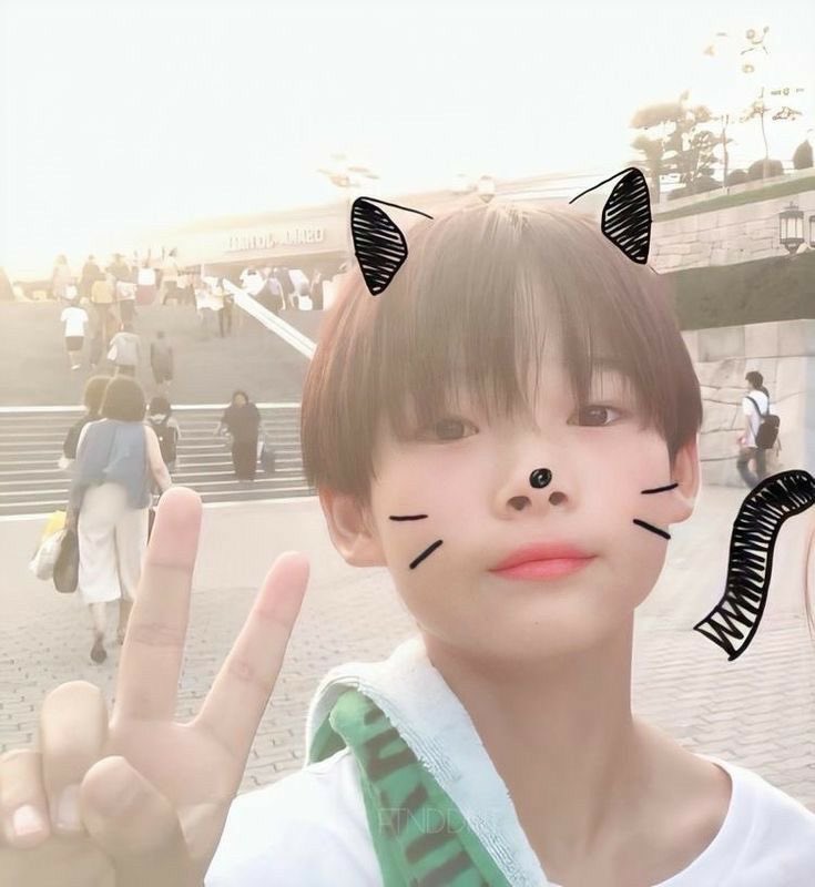 isabella | ENHYPEN IS 7 tweet media