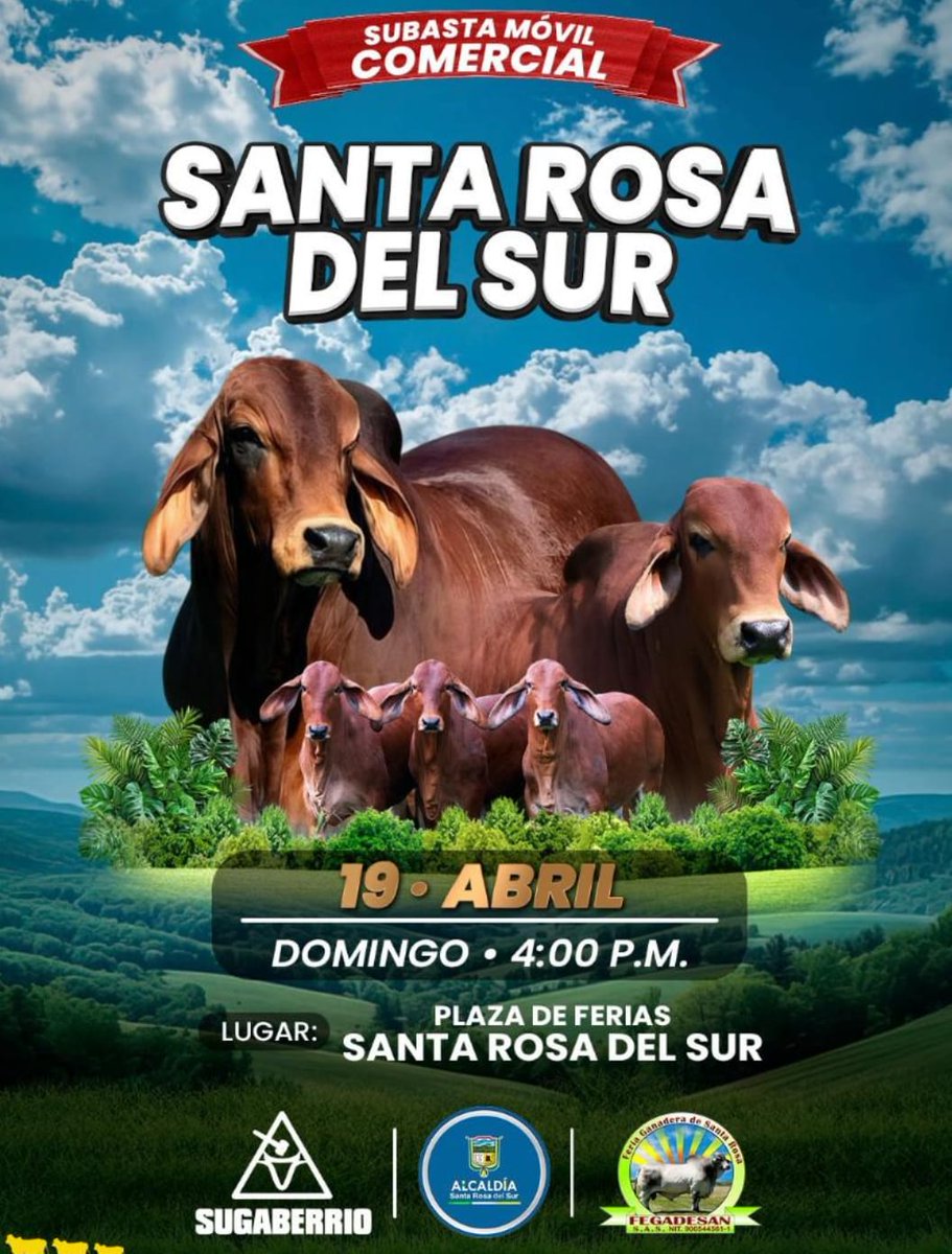 Sur de Bolivar Pasion Ganadera tweet media