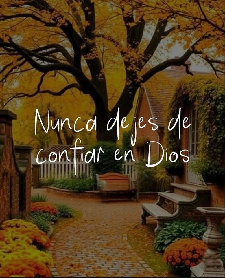 Gonzalo ▵ Brizuela tweet media