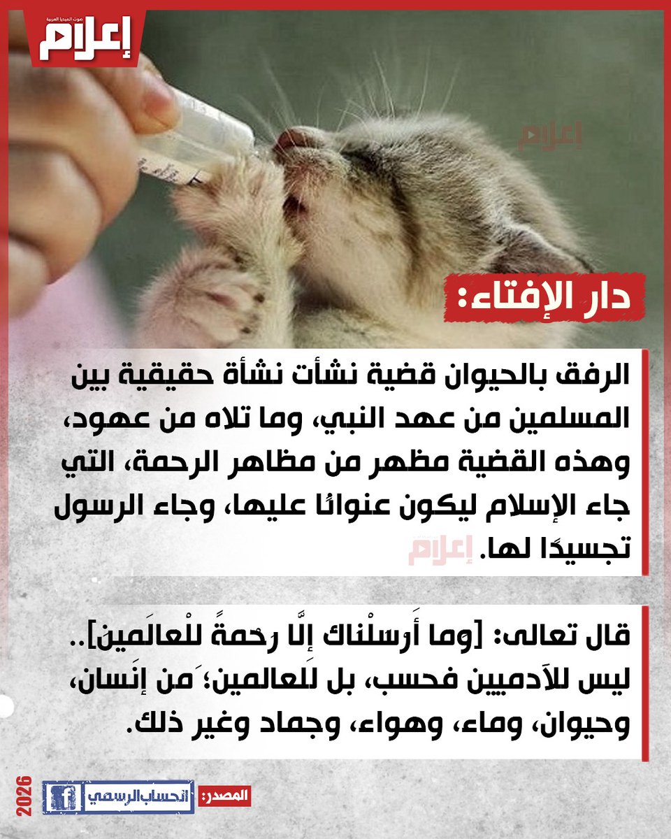 e3lam.com tweet media