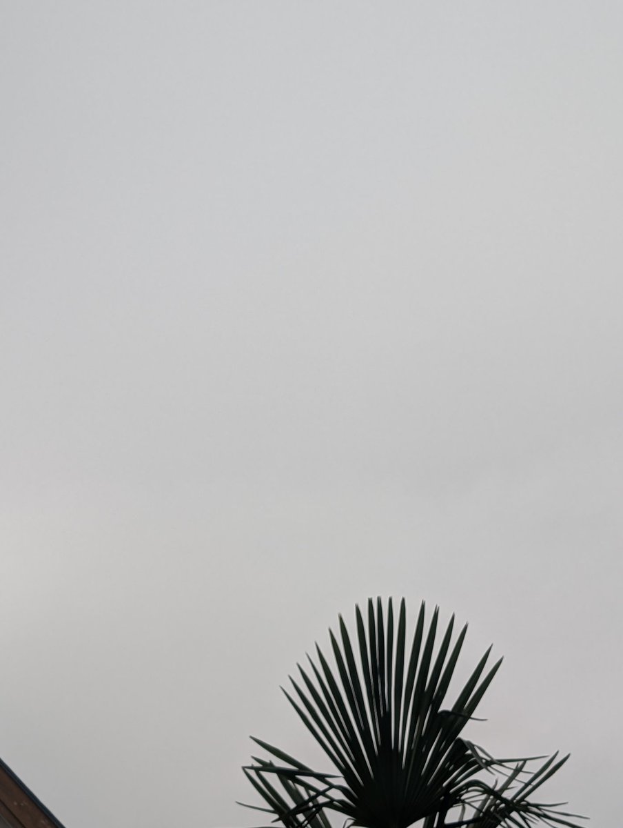 佐藤 浩之 tweet media